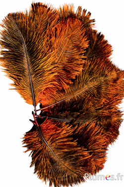 Struisvogel - 13-18 cm - azteeks goud-grijs